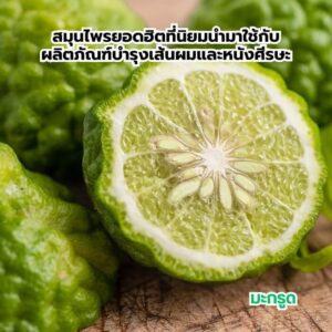 3 สมุนไพรยอดฮิตที่นิยมนำมาใช้กับผลิตภัณฑ์บำรุงเส้นผมและหนังศีรษะ 4 2